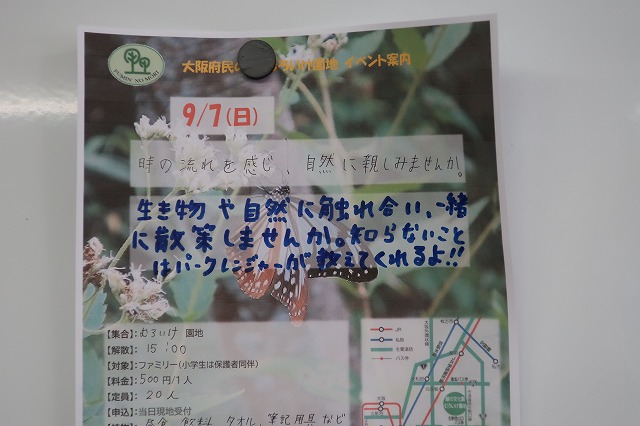 募集チラシ作成６