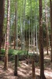 作業後