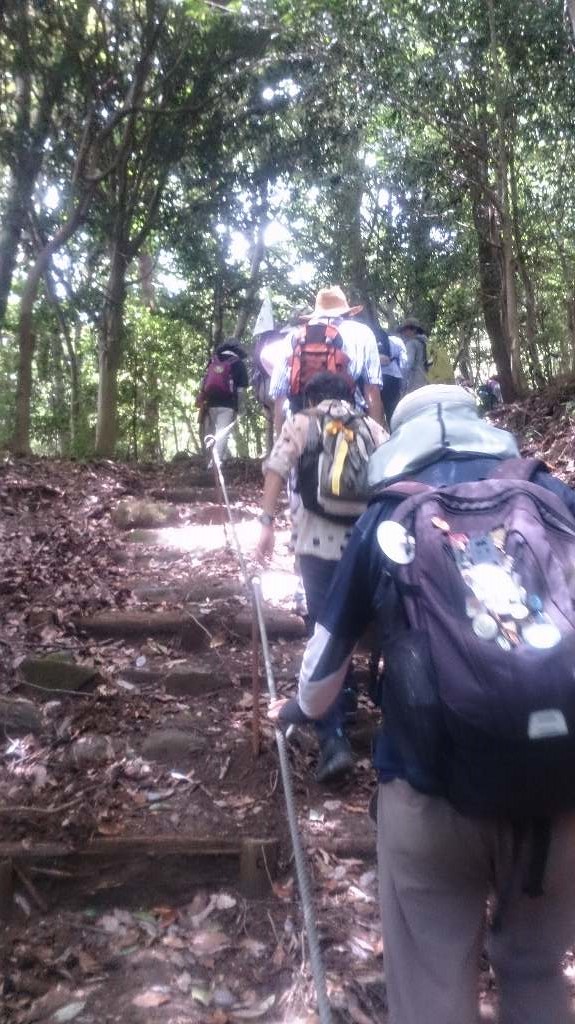 急斜面の山道を登ったところに・・・