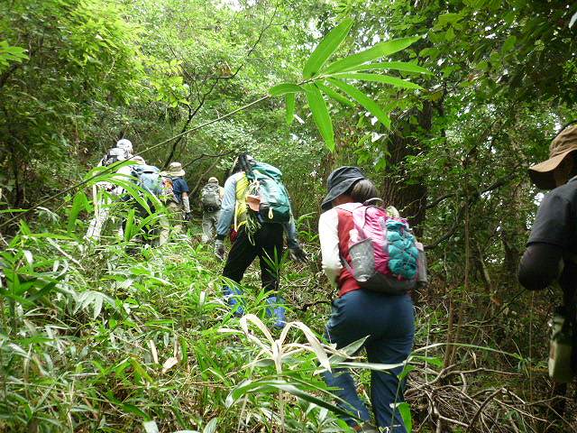 さっそくしげみがやってきます。これぞまさしく冒険登山ですね！