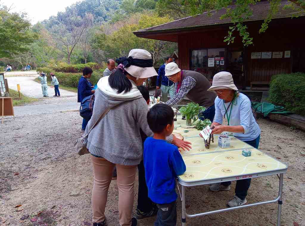 自然の不思議紹介コーナー