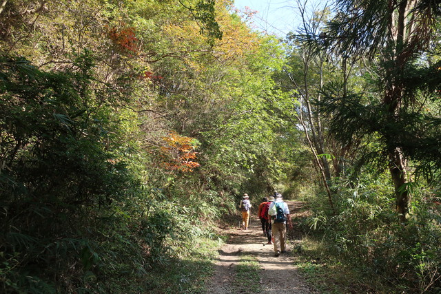 まつかぜの路