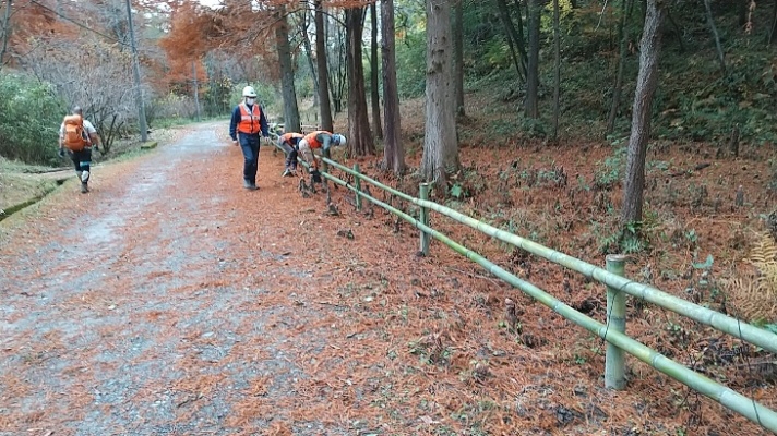 八ッ橋の竹柵補強