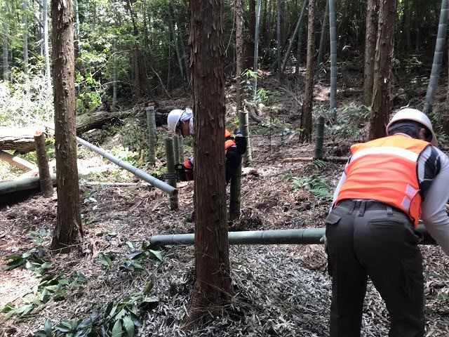 人工林作業中