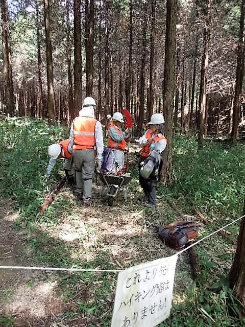 人工林内作業路整備作業