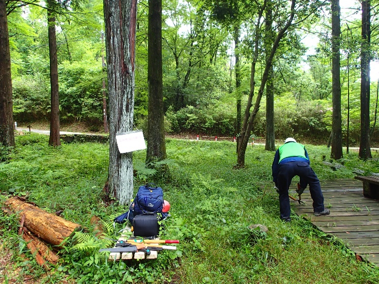 作業中（八ツ橋　ベンチ東側）
