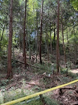 作業後２