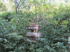 作業前２