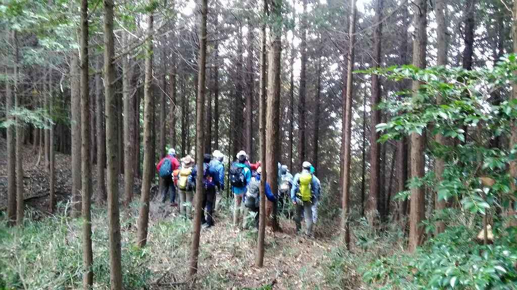 往生院の裏山