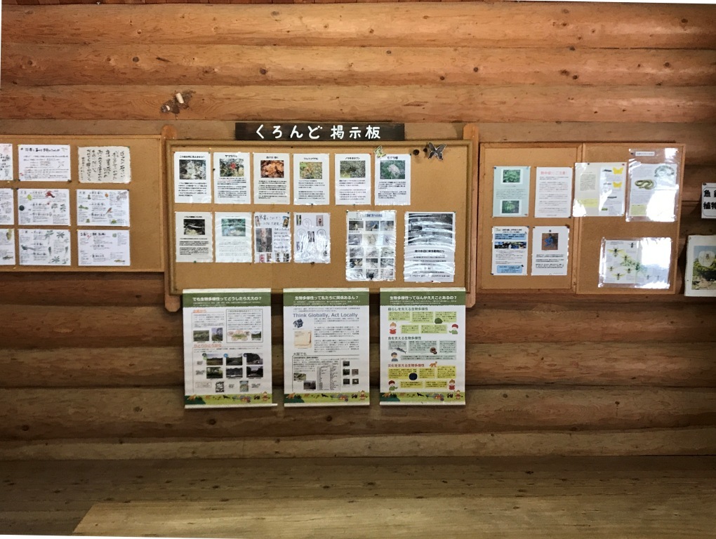 掲示板