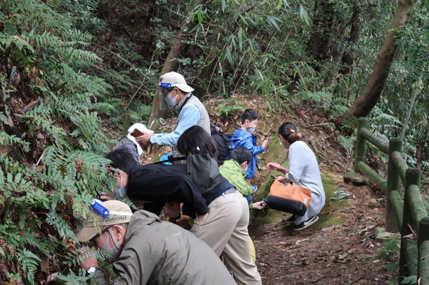 苔の観察中です