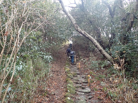 前日雨だったので滑りやすくなっていました