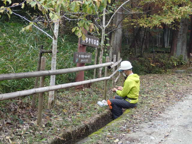 柵補修　カタクリの森