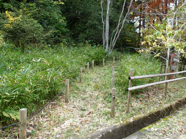 作業後　カタクリの森