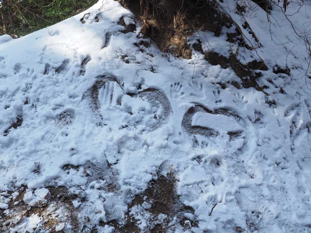 大阪ではやっぱり雪を見ると嬉しいですよね。