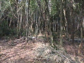 作業前１
