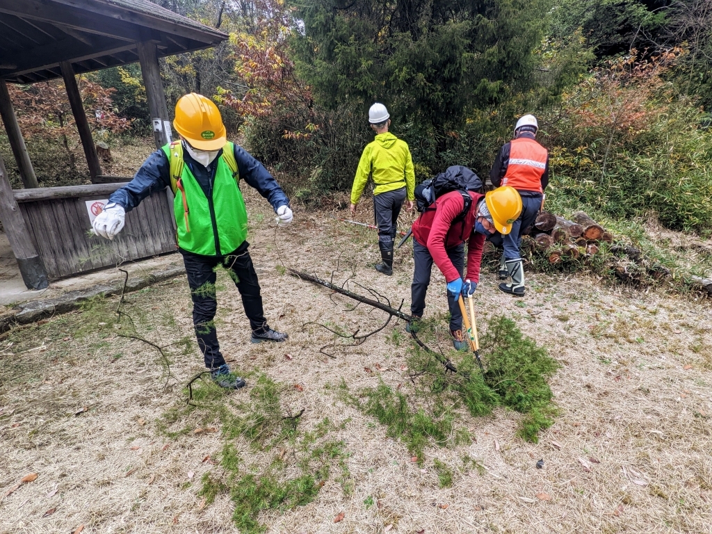 クリスマスリースの素材収集（ネズミサシ）