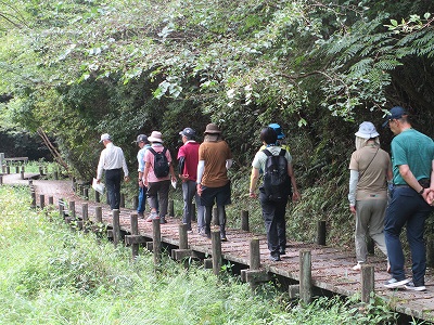 湿生花園で下見