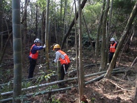作業中