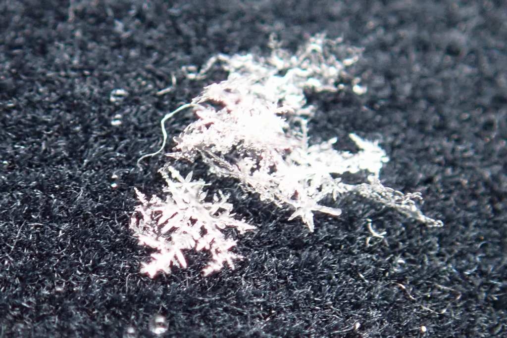 雪景色のかわりに雪の結晶