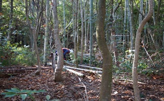 作業中