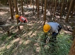 作業中