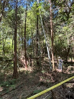 作業前２