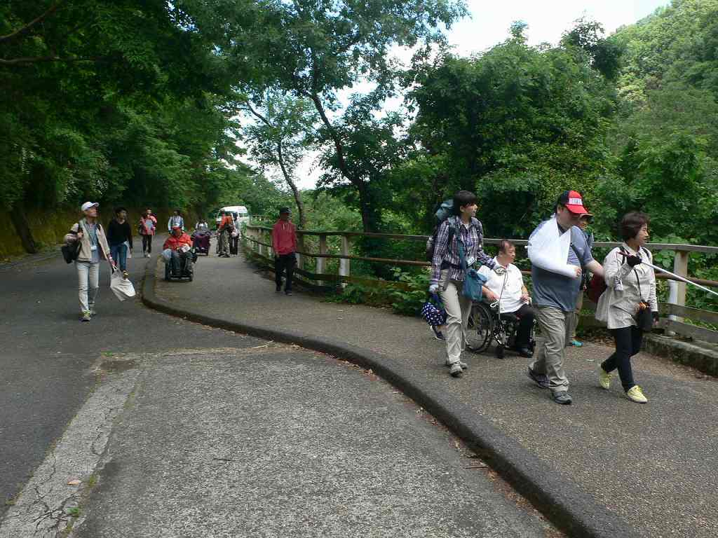 新緑のらくらく登山道