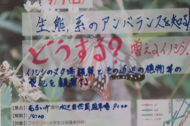 募集チラシ作成４