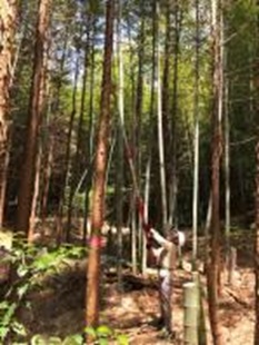 作業中
