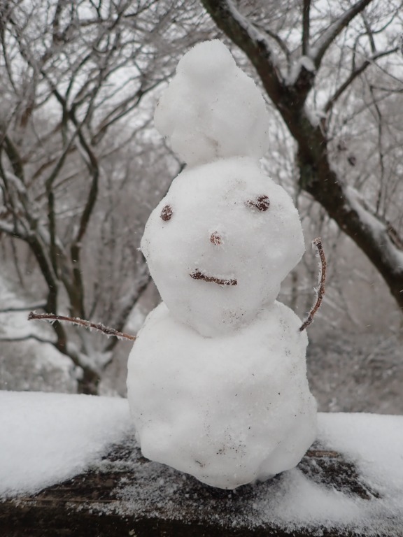 誰かが作った雪だるま。