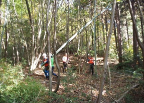 作業中