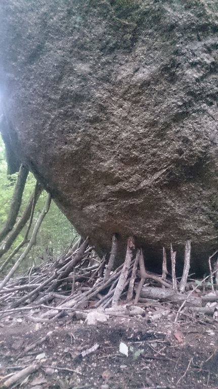 夫婦岩の根本には、登山者によって、不安定そうに見える岩を支える枝が置かれています。