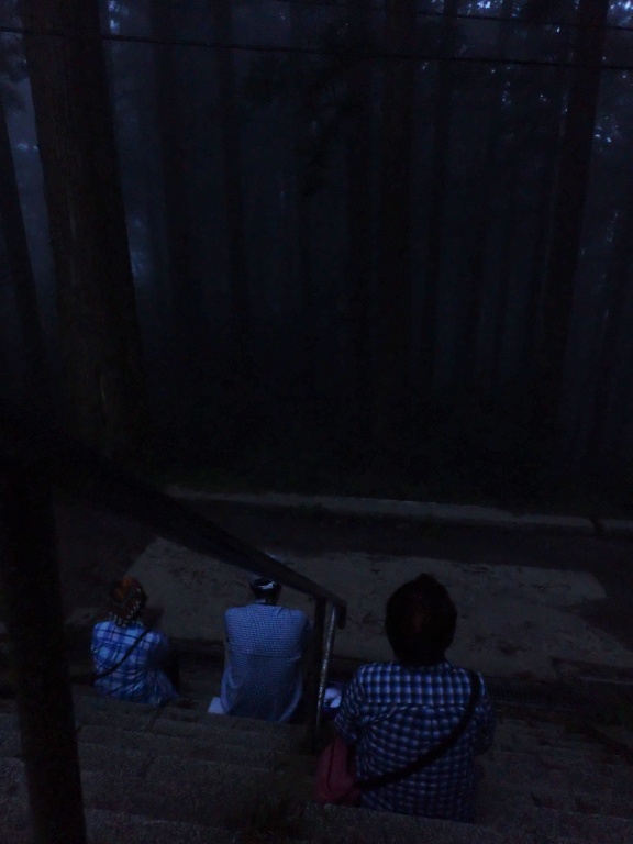 ムササビ観察中