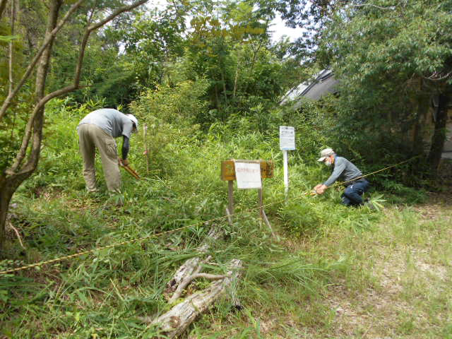 BBQ広場西側植樹地　作業中（１）