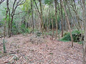 作業後１