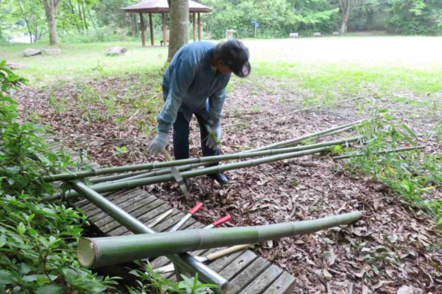 作業しやすい大きさに切る