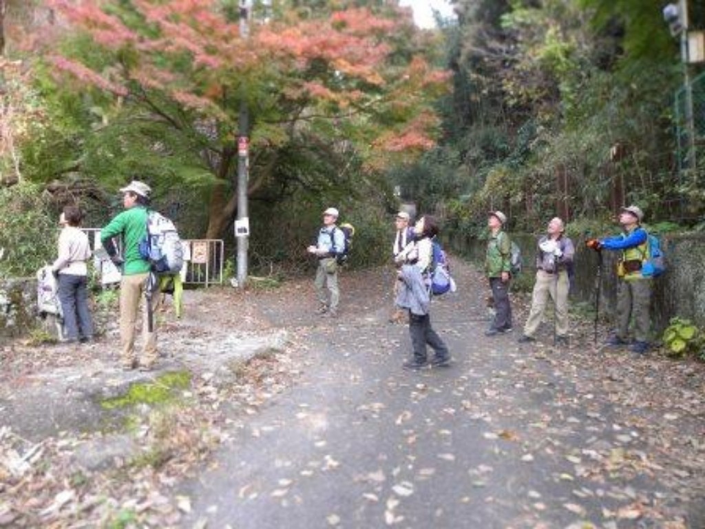 下山後、紅葉を見てホッと一息