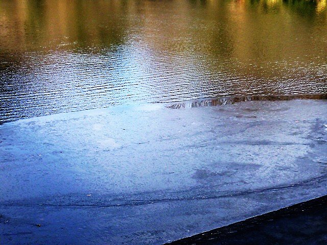 池には氷が張っていました。