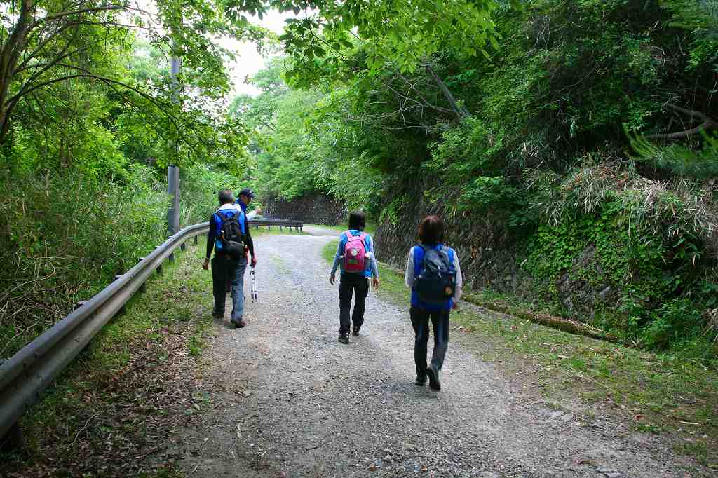 すいれん池に向けて散策中