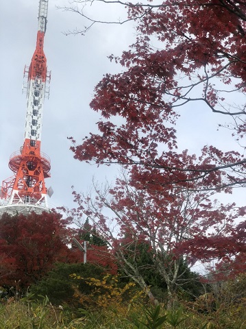 山上に向かって紅や黄色に染まる生駒山