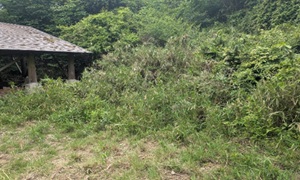 作業前