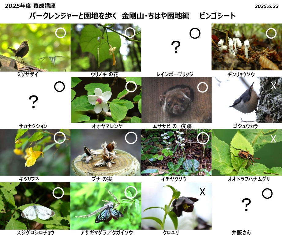 ビンゴカード　○印は確認できたもの。