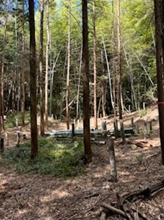 作業後１