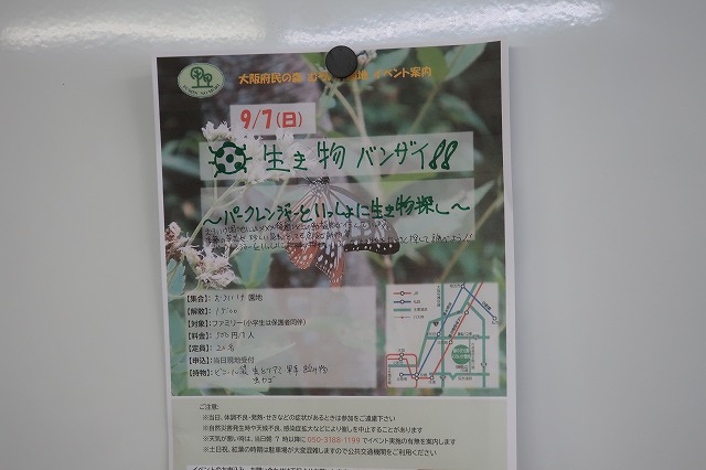 募集チラシ作成１