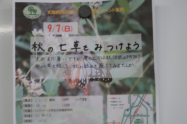 募集チラシ作成７