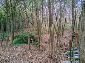 作業後２