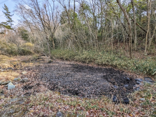 干上がったさんさくの路の池
