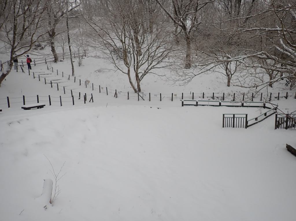 四季の谷も雪景色です。