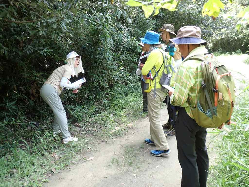 自然解説の実施-2グループ一部